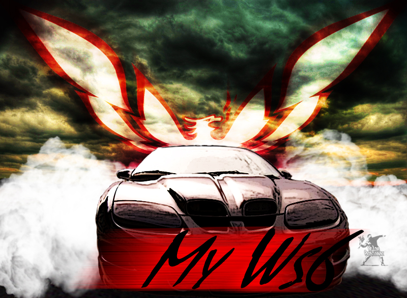My Ws6